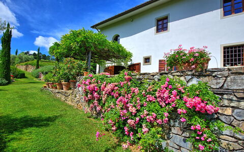 Villa Mami: Blume, Pflanze, Himmel, Eigentum, Fenster, Wolke, Grün, Gebäude, Die Architektur, Baum