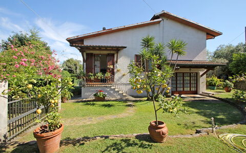 Casa Il Prato: Pflanze, Himmel, Eigentum, Blume, Gebäude, Fenster, Blumentopf, Baum, Grundstueck, Vegetation
