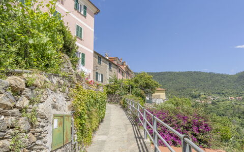 Emma House, Terrace and Sea View, Moneglia: Pflanze, Himmel, Eigentum, Gebäude, Fenster, Vegetation, Steigung, Blume, Baum, Wand