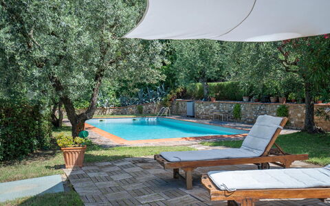 Chianti Hills Apartment, Pool, Ac: Pflanze, Wasser, Eigentum, Möbel, Schwimmbad, Schatten, Gartenmöbel, Interior Design, Sonnenliege, Baum