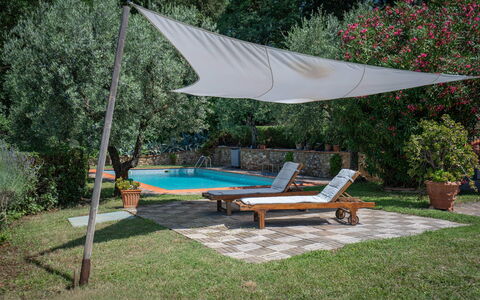 Chianti Hills Apartment, Pool, Ac: Pflanze, Wasser, Tabelle, Schatten, Blumentopf, Baum, Gartenmöbel, Sonnenliege, Schwimmbad, Freizeit