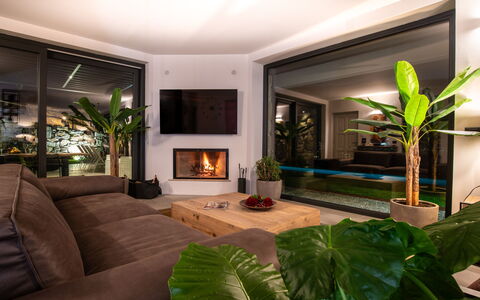 Villa Paradise: Pflanze, Eigentum, Grün, Zimmerpflanze, Beleuchtung, Interior Design, Couch, Komfort, Fussboden, Wohnzimmer