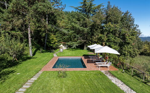 Villa Chicco: Pflanze, Himmel, Regenschirm, Botanik, Baum, Schatten, Grundstueck, Gras, Schwimmbad, Freizeit
