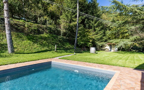 Villa Chicco: Wasser, Pflanze, Eigentum, Natürliche Landschaft, Gras, Schwimmbad, Rechteck, Verbundwerkstoff, Freizeit