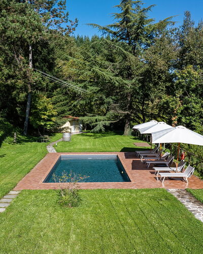Villa Chicco: Pflanze, Himmel, Regenschirm, Botanik, Baum, Schatten, Grundstueck, Gras, Schwimmbad, Freizeit