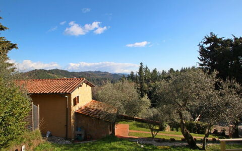 La Maggiolina & La Bastide: Wolke, Pflanze, Himmel, Eigentum, Ökoregion, Natürliche Landschaft, Baum, Natürlichen Umgebung, Fenster, Grundstueck