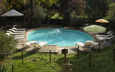 Borgo Dolciano: Wasser, Pflanze, Schwimmbad, Schatten, Gartenmöbel, Natürliche Landschaft, Gras, Baum, Stuhl, Freizeit