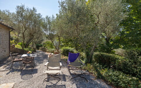 Villa Delle Rose: Pflanze, Pflanzengemeinschaft, Stuhl, Natürliche Landschaft, Grundstueck, Baum, Gras, Tabelle, Schatten, Gartenmöbel