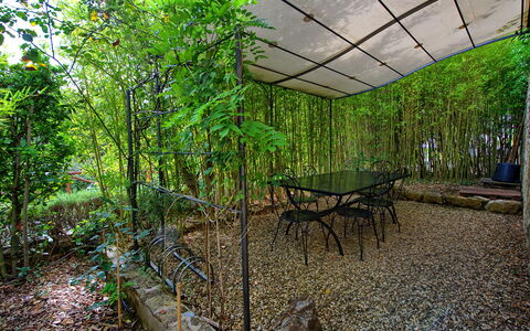 Casa Minuccia: Pflanze, Tabelle, Schatten, Natürliche Landschaft, Vegetation, Baum, Terrestrische Plant, Gartenmöbel, Biome, Holz