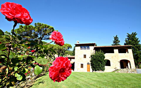 Residence Marino: Blume, Rot, Pflanze, Blütenblatt, Himmel, Frühling, Haus, Sommer, Landschaft