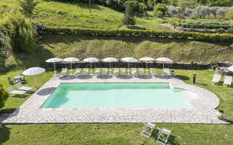 Marcigliana Cottage, Pool, Radicondoli: Gartenmöbel, Schwimmbad, Rasen, Resort, Garten, Eco Hotel, Tisch Im Freien, Sonnenliege, Hotel, Landscaping