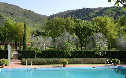 Villa Bongi: Schwimmbad, Strauch, Garten, Eco Hotel, Resort, Hazienda, Estate, Landscaping, Plantage, Immergrün