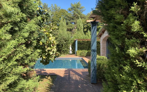Villa Bongi: Blatt, Grün, Strauch, Garten, Schatten, Gehölz, Landscaping, Schwimmbad, Immergrün, Hecke