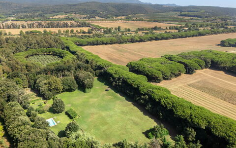 Casale Rosa: Baum, Natürlichen Umgebung, Natürliche Landschaft, Landschaft, Vogelperspektive, Luftaufnahmen, Einfach, Grundstueck, Plantage, Feld
