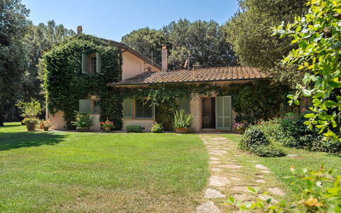 Casale Rosa: Baum, Blatt, Gras, Haus, Ast, Zuhause, Vegetation, Strauch, Hütte