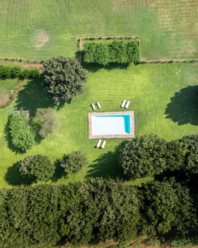 Casale Rosa: Schwimmbad, Garten, Rasen, Schatten, Landscaping, Park, Garten, Hinterhof, Plantage, Immergrün