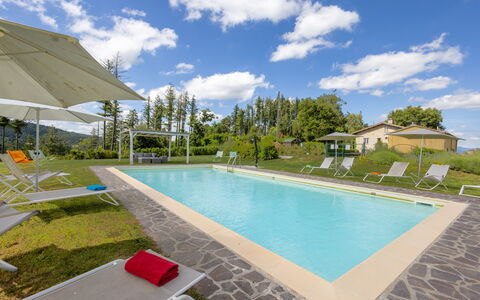 Montelucci Chianti Agrivilla: Wolke, Wasser, Himmel, Pflanze, Eigentum, Gebäude, Schwimmbad, Gartenmöbel, Interior Design, Schatten