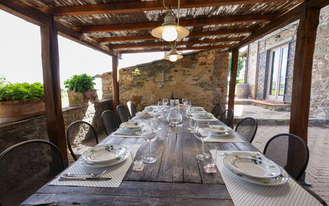 Montelucci Chianti Agrivilla: Tabelle, Pflanze, Möbel, Geschirr, Stuhl, Gebäude, Holz, Beleuchtung, Interior Design, Baum