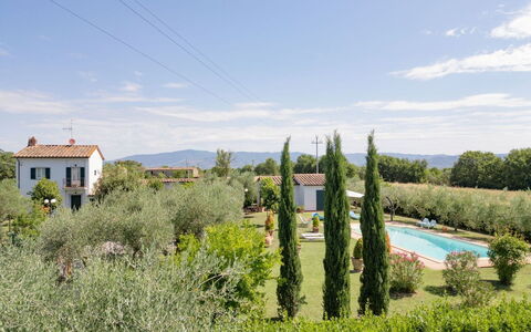 Villa Elena: Strauch, Grundstueck, Garten, Estate, Plantage, Bauernhaus, Landscaping, Hecke, Garten, Hazienda