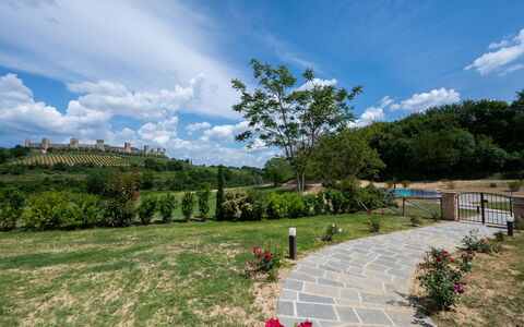 La Capanna, Borgo Campassini, Monteriggioni: Gras, Natur, Landschaft, Wiese, Strauch, Grundstueck, Einfach, Garten, Frühling, Plantage