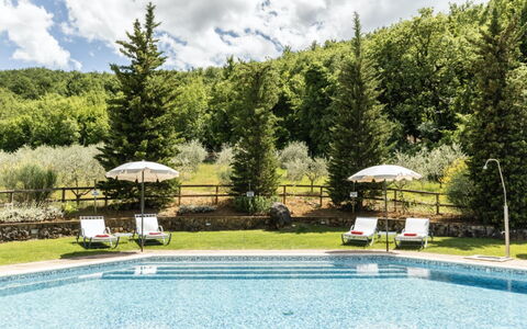 Podere Monti: Möbel, Schwimmbad, Resort, Gartenmöbel, Sonnenliege, Lärche, Water Feature, Eco Hotel, Thermae