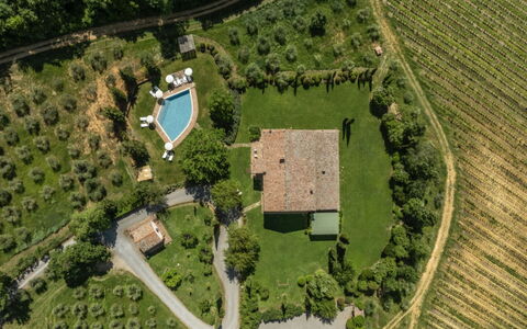 Podere Monti: Landschaft, Grundstueck, Ländliches Gebiet, Einfach, Estate, Garten, Plantage, Rasen, Landscaping, Vogelperspektive