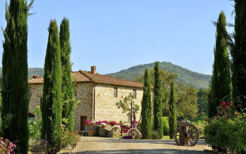 Mulino della Villa: Strauch, Garten, Landscaping, Plantage, Immergrün, Pine Familie