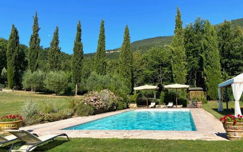 Villa la Felce: Strauch, Schwimmbad, Garten, Landscaping, Resort, Gartenmöbel, Schatten, Eco Hotel, Botanischer Garten