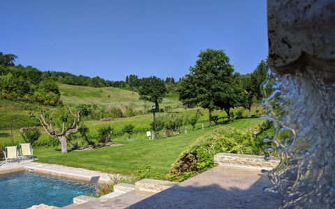 Podere della Bruciata: Strauch, Garten, Landscaping, Hinterhof, Schwimmbad, Botanischer Garten, Plantage, Water Feature, Immergrün