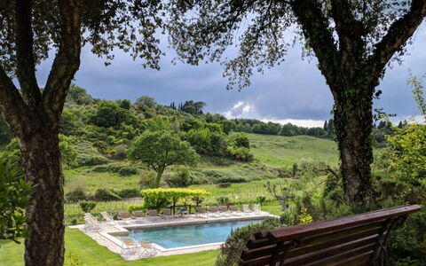 Podere della Bruciata: Baum, Strauch, Schwimmbad, Garten, Rasen, Landscaping, Eco Hotel, Hinterhof, Resort