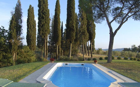 Santo Stefano: Schwimmbad, Garten, Landscaping, Estate, Hinterhof, Schatten, Villa, Immergrün, Hazienda