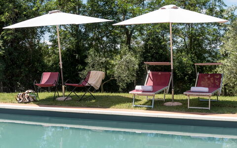 Bellaria: Möbel, Gartenmöbel, Regenschirm, Stuhl, Schatten, Garten, Sonnenliege, Tisch Im Freien, Landscaping, Garten