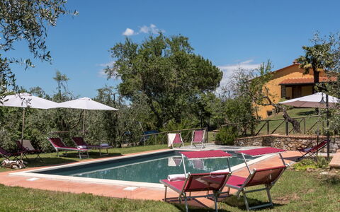 Bellaria: Estate, Hazienda, Hinterhof, Gartenmöbel, Villa, Garten, Bauernhaus, Garten, Schwimmbad, Landscaping