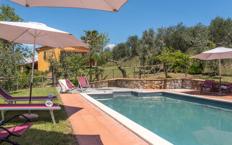 Bellaria: Schwimmbad, Estate, Hazienda, Garten, Resort, Landscaping, Eco Hotel, Hinterhof, Villa, Sonnenliege