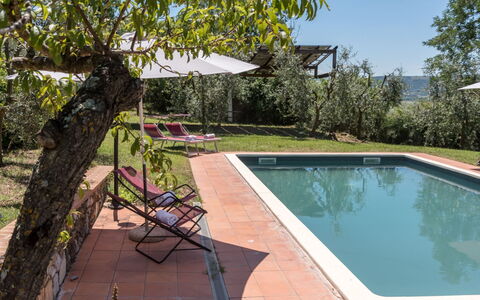 Bellaria: Schwimmbad, Hazienda, Estate, Garten, Garten, Schatten, Villa, Hinterhof, Bauernhaus, Landscaping