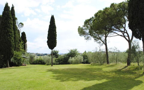 Villa Il Poggio: Gras, Baum, Blatt, Ast, Strauch, Grundstueck, Wiese, Einfach, Kofferraum