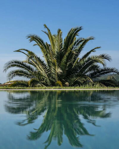 Villa Moscato: Blau, Wasser, Gewässer, Reflexion, See, Schwimmbad, Reservoir, Tropen, Reflecting Pool