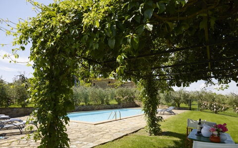 Villa del Riccio: Schatten, Gartenmöbel, Hinterhof, Schwimmbad, Eco Hotel