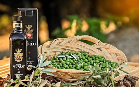 Villa Savino: Flasche, Wein, Glasflasche, Essen, Produzieren, Natural Foods