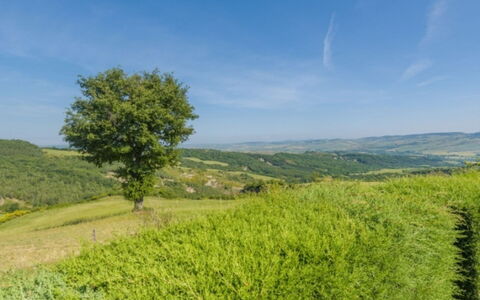Podere del Mezzadro: Grün, Natürlichen Umgebung, Gras, Natur, Wiese, Natürliche Landschaft, Vegetation, Hügel, Landschaft, Ökoregion