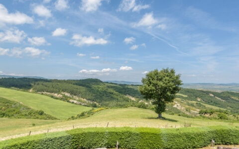 Podere del Mezzadro: Himmel, Grün, Gras, Natürlichen Umgebung, Natur, Wiese, Natürliche Landschaft, Hügel, Vegetation