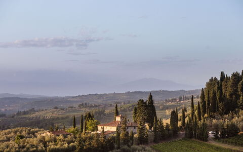 Agatea: Landschaft, Abend, Lärche, Shrubland, Chaparral, Immergrün, Pine Familie