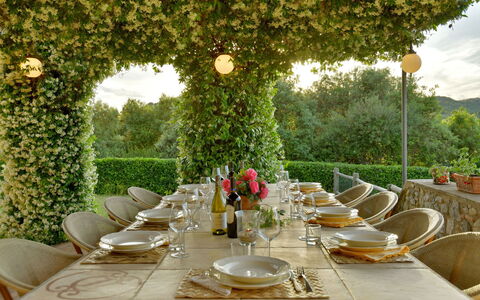 Villa Anima: Möbel, Tabelle, Geschirr, Tisch Im Freien, Garten, Tischdecke, Stuhl, Gartenmöbel, Restaurant, Küche & Esszimmer Tisch