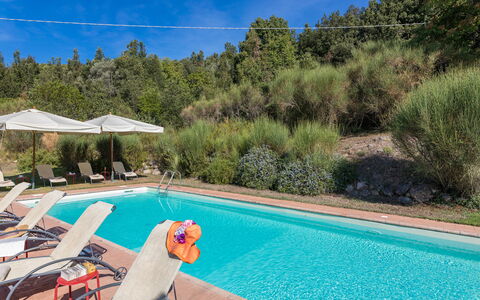 Villa Belvedere: Schwimmbad, Resort, Gartenmöbel, Sonnenliege, Eco Hotel, Landscaping, Thermae, Hotel, Hazienda, Läge