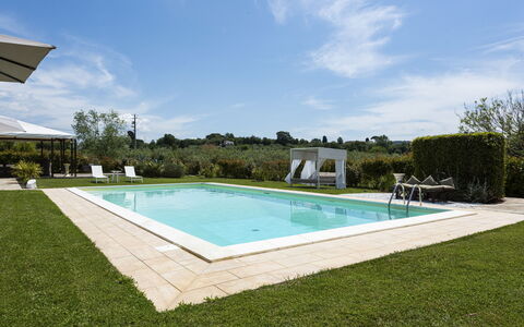 Villa Yvonne: Schwimmbad, Garten, Resort, Landscaping, Rasen, Schatten, Hinterhof, Estate, Gartenmöbel, Garten
