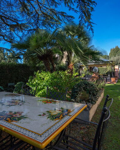 Ely Apartment In Villa, Wifi, Terricciola, Pisa: Strauch, Garten, Landscaping, Schatten, Garten, Hazienda, Blumentopf, Zimmerpflanze, Hinterhof