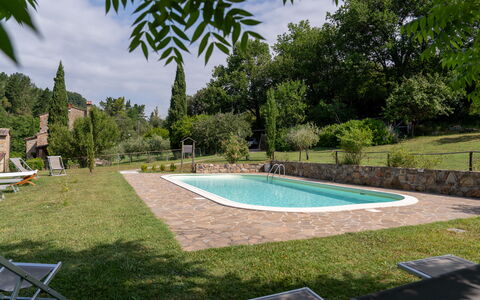 Mulino di Amarrante with Pool, Montaione: Strauch, Schwimmbad, Garten, Hinterhof, Schatten, Rasen, Landscaping, Estate, Garten, Bauernhaus