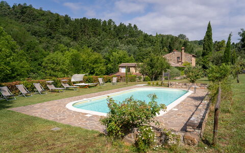 Mulino di Amarrante with Pool, Montaione: Strauch, Ländliches Gebiet, Estate, Bauernhaus, Garten, Hütte, Hazienda, Eco Hotel, Landscaping