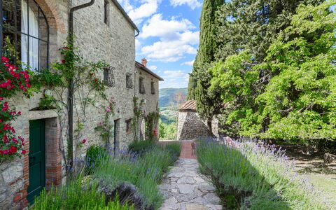 Villa Poggio La Croce: Strauch, Garten, Ground, Backstein, Landscaping, Steinwand, Botanischer Garten, Plantage