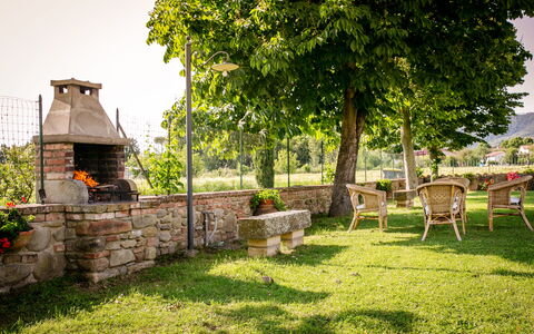 Villa Gelsi: Garten, Rasen, Schatten, Gartenmöbel, Garten, Landscaping, Hinterhof, Park, Stuhl, Eco Hotel